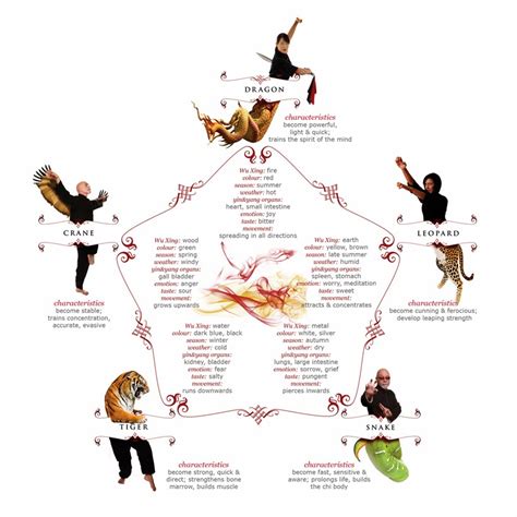 Martial Arts Overview: The 5 Animals Of Kung Fu