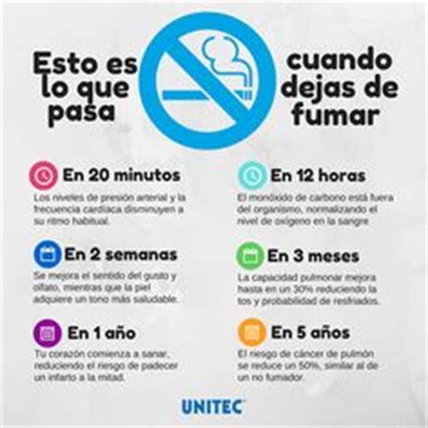 Más de 1000 imágenes sobre Salud UNITEC en Pinterest ...