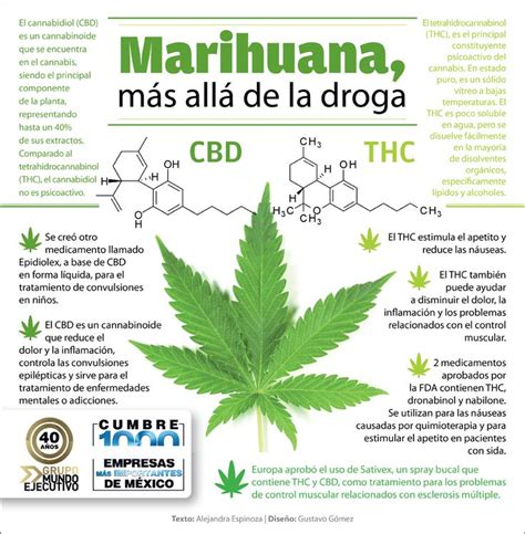 Más de 25 ideas fantásticas sobre Plantas De Marihuana en ...