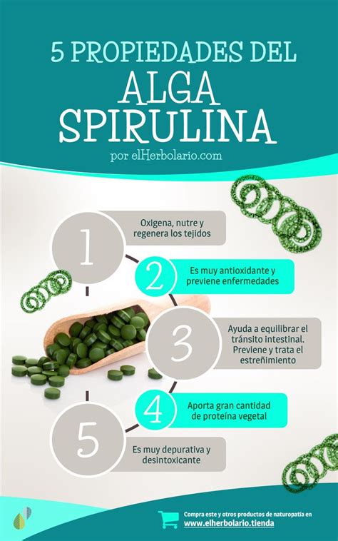 Más de 25 ideas increíbles sobre Alga espirulina ...