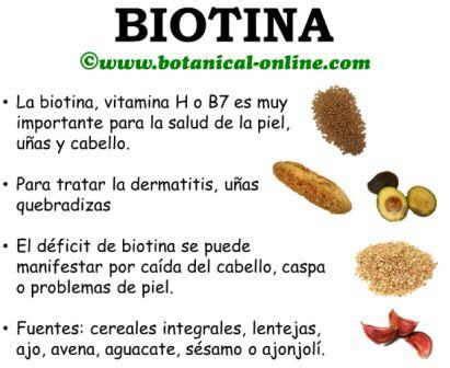 Más de 25 ideas increíbles sobre Biotina en Pinterest ...
