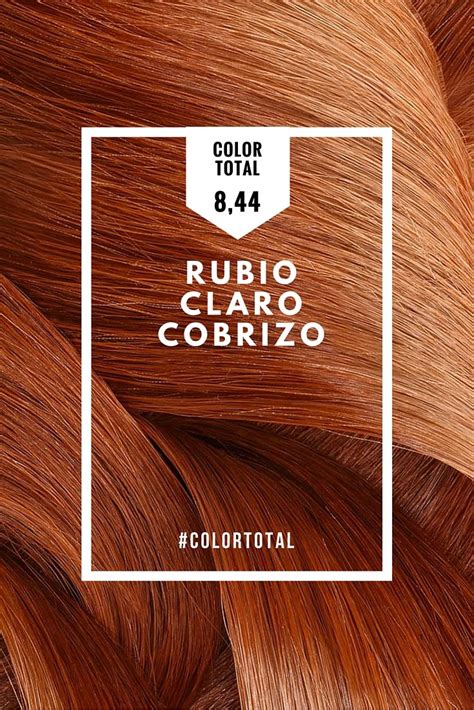 Más de 25 ideas increíbles sobre Colores de pelo color ...