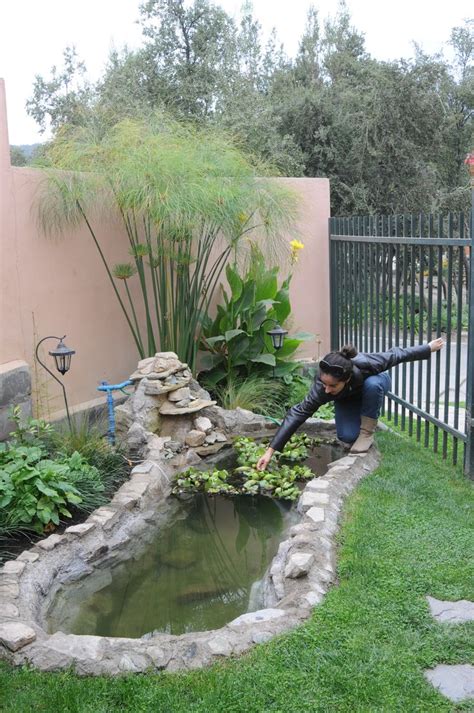 Más de 25 ideas increíbles sobre Jardines de agua en ...