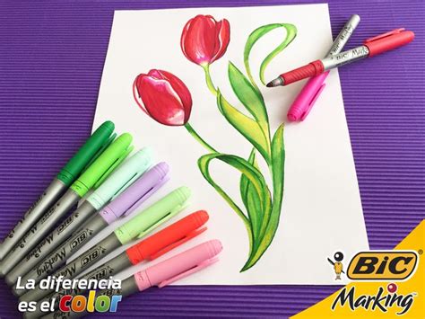 Más de 25 ideas increíbles sobre Significado de tulipanes ...