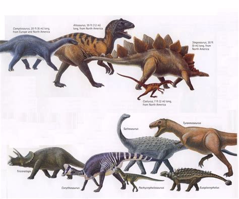 Más de 25 ideas increíbles sobre Tipos de dinosaurios solo ...