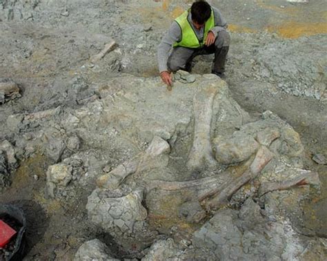 Massive Dinosaur  Graveyard  Discovered in Spain ...