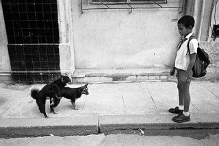 Matando Momentos: Vida y obra de Cartier Bresson, Graciela ...