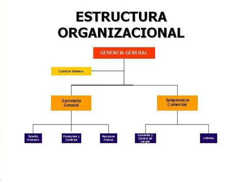 mauricio cabal: estructura organizacional