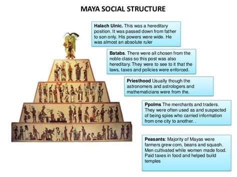 Maya social structure