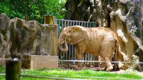 Mayaguez Zoo in Mayaguez, | Expedia