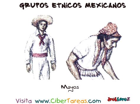 Mayos – Grupos Étnicos Mexicanos | CiberTareas
