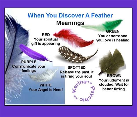Meanings Of Feathers: Black, White, Pink, Blue Feathers ...