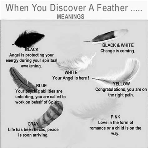 Meanings of Finding Different Coloured Feathers in Nature ...