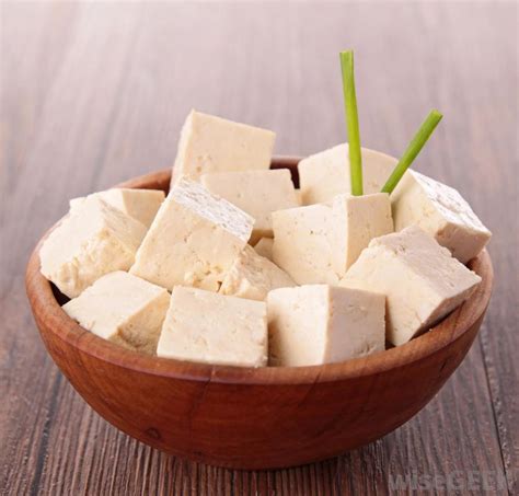 Meat Is Murder, But Tofu Is Bioslaughter – The Inquisitive ...