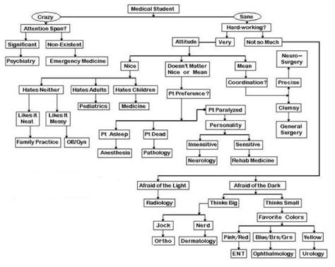 Medical careers: a flow chart on how to choose a medical ...