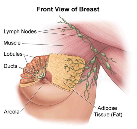 Medical Pictures Info – Breast Cyst