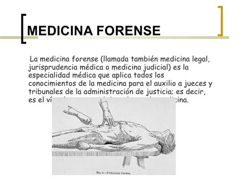 Medicina Forense