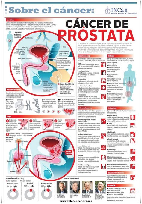 Medidas para prevenir el cáncer de próstata