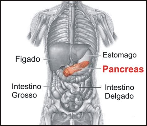 Medissante: Tumores Pancreaticos