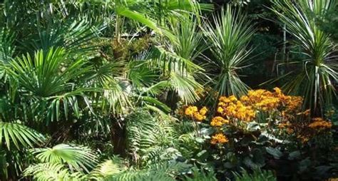 Mediterranean Garden Plants UK. 10 Best Mediterranean Plants
