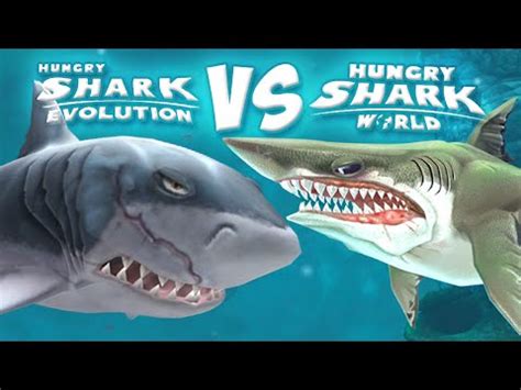 Megalodones y tiburones | FunnyDog.TV