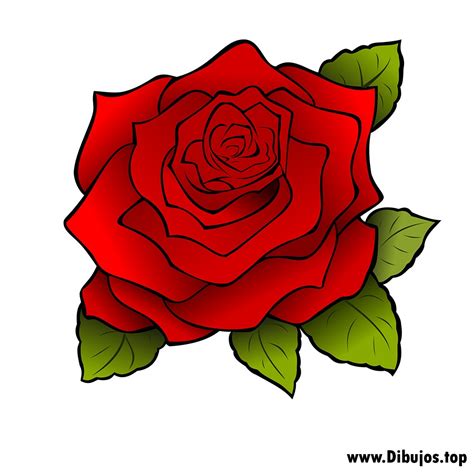 Mejor De Imagenes De Rosas Para Dibujar A Color