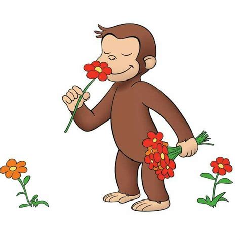 Mejores 49 imágenes de Curious George Monkey en Pinterest ...