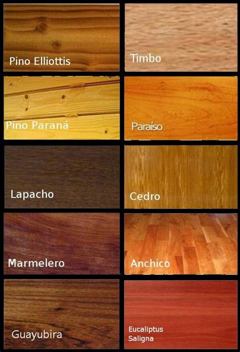Mejores 8 imágenes de Tipos de maderas en Pinterest ...