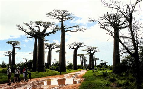 Mejores paisajes y lugares de África   101 Lugares increíbles