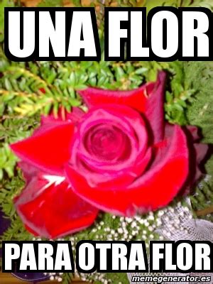 Meme Personalizado   una flor para otra flor   524795