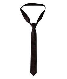Mens Ties: Buy Neckties, Bow Ties, Stylish Ties Online for ...
