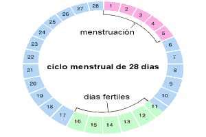 Menstruación   Alimentos para curar. Pag: 1