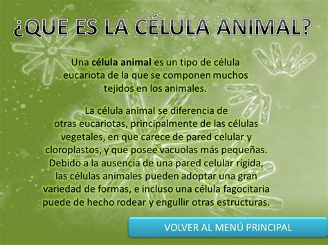MENU PRINCIPAL LA CÉLULA ANIMAL PARTES DE LA CÉLULA ANIMAL ...