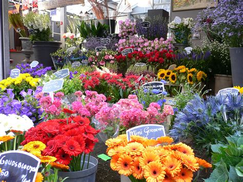 Mercado de las flores – Amsterdam | Las Mil Millas