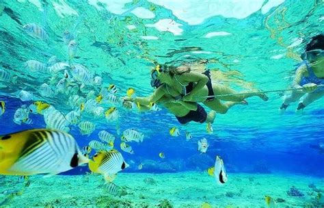 mergulho ilhas agua transparente | Miami é Florida