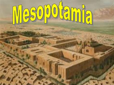 Mesopotamia  clara
