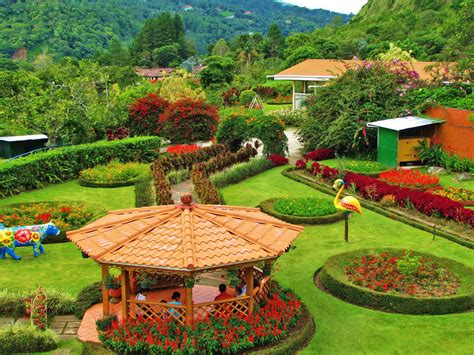 Mi Jardin Es Su Jardin | My Choice for Gardens in Boquete ...