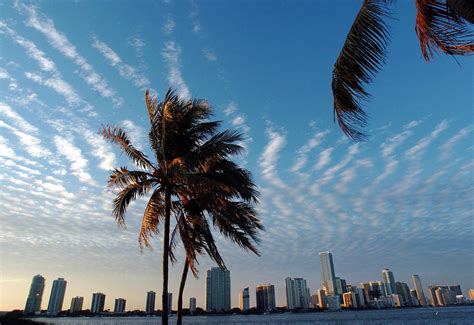 Miami, donde más español se habla en Estados Unidos ...
