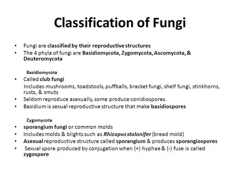 Mic 101: L 17 & 18 Fungi: general morphological ...