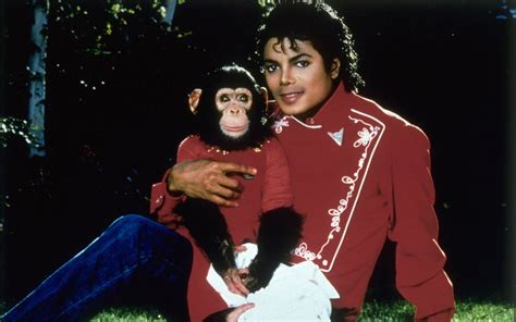 Michael Jackson and Bubbles   Wikipedia