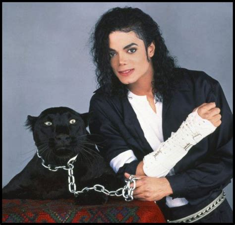 Michael Jackson loves cats | Popbabble