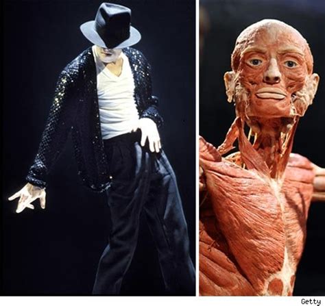 Michael Jackson s Body    Hold the Plastic | TMZ.com