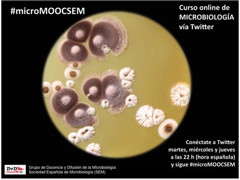 Microbiología en Twitter: Curso de la Sociedad Española de ...
