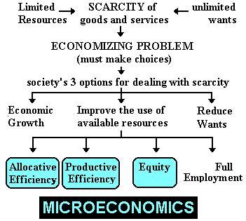 Microeconomics Online!  Homepage