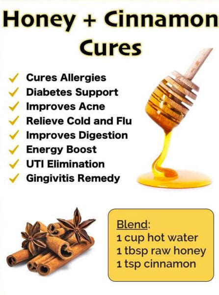Miel y Canela   Beneficios y Curas Naturales