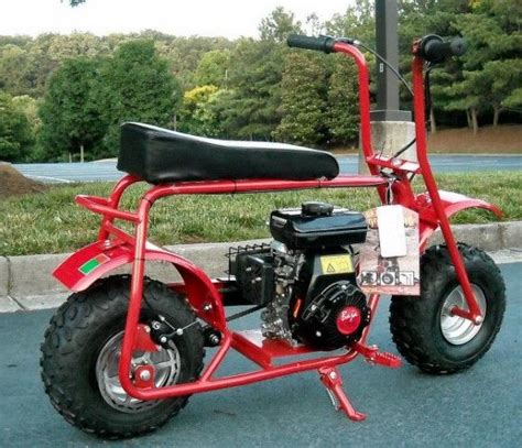 Mini Bike. We got engines from Grampa s old lawn mowers ...