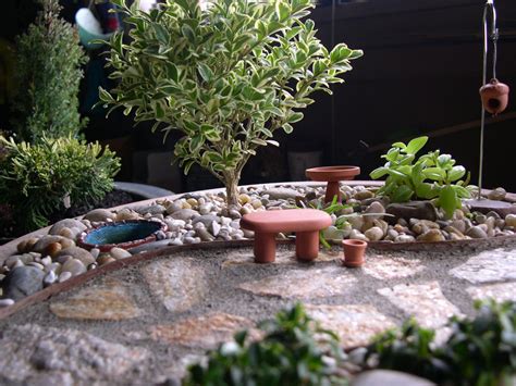 Miniature Gardening 102: Indoor vs. Outdoor Plants | The ...