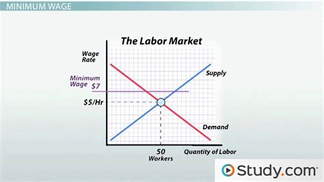 Minimum Wage and its Effects on Employment   Video ...