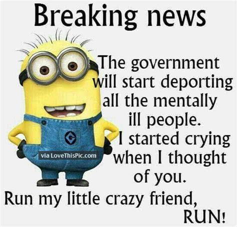 Minion Breaking News Funny Quote Pictures, Photos, and ...
