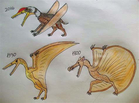 Mistakes of the Past   Evolution of Pterodactylus by WDGHK ...